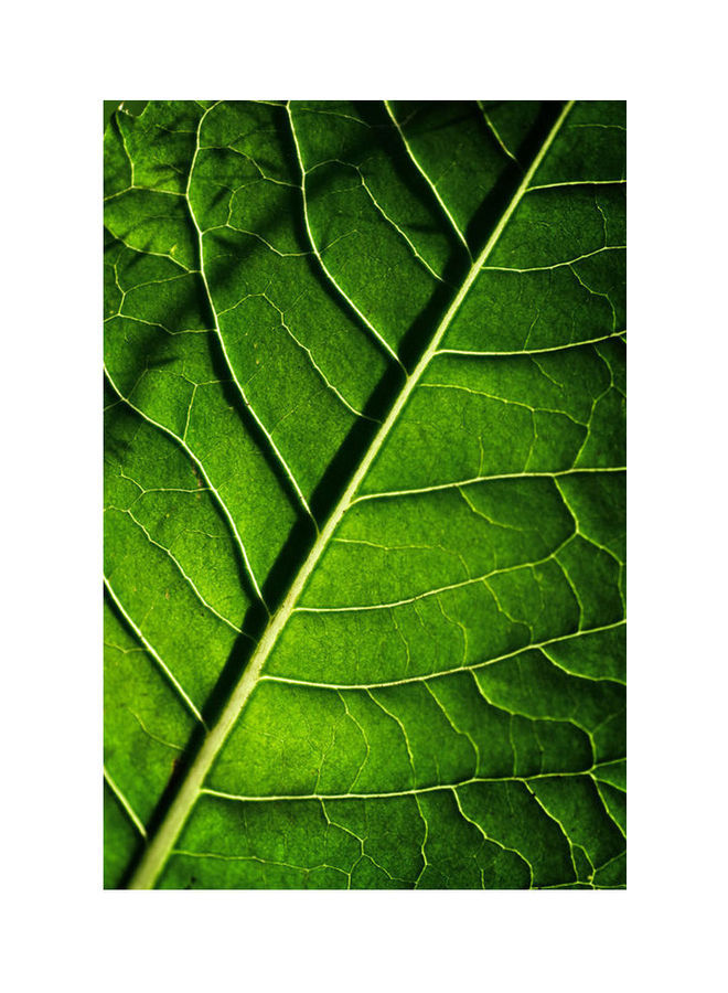 Green Leaf Skin For Apple Iphone X