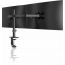 Pholiten Dual Arm Holder for 13 to 32 Inch Monitors - Black