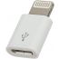 OEM Micro USB to Lightning Adaptor