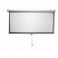 Projector Screen, 244CM- White