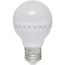 LED Light Bulb- 10 Watt 