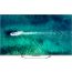 Haier 55 Inch 4K UHD Smart QLED TV with Built-in Receiver - H55S90EU