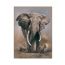 African Elephant Skin For Apple Ipad Mini 6th Gen