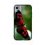 Black and Red Beautiful Butterfly Printed Back Cover for Apple iPhone XR