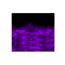 Dark Amethyst Crystal Skin For Apple Ipad Mini 6th Gen