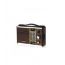 Leotec Classic Radio, Brown - 2009