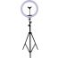 M-33 Live Stream 360 Degree Rotated LED Ring Light 33 cm With Mobile Phone Holder And 2.1 Meter Stand - Black & White