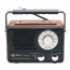 PU Xing Rechargeable Radio, Black - PX-P12BT