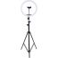 Ring Light with Tripod Stand for Smartphones, 210 Cm, Black - Sl300