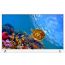 شاشة تلفزيون نيكاي 65 بوصة LED بتقنية UHD ودقة 4K سمارت-  NE65SUHD-M1