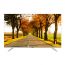 Tornado TV 65 Inch 4K UHD Smart LED with Built in Receiver - 65UA5300E