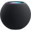 Apple HomePod Mini Wired Speaker - Black