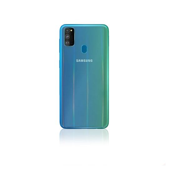 Armor Shiny Back Protector for Samsung Galaxy M30S - Transparent