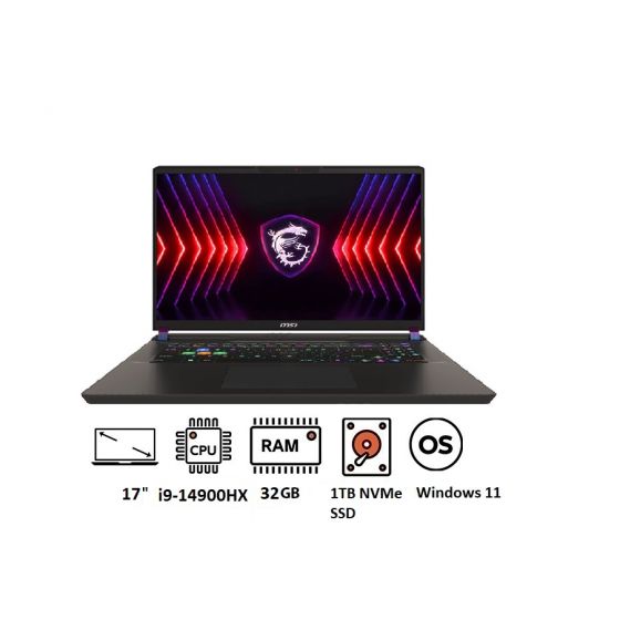MSI Vector 17 HX A14VHG Gaming Laptop, Intel Core i9-14900HX, 1TB NVMe PCIe Gen4 SSD, 32GB RAM, 17 Inch, QHDPlus, 240Hz, NVIDIA GeForce RTX 4080 12GB, Windows 11 - Cosmos Grey