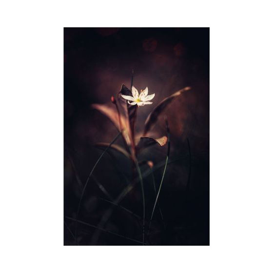 Delicate Bloom Skin For Apple Ipad Mini 6th Gen