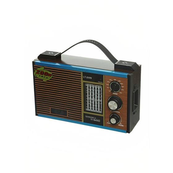 Wired FM Radio, 11 Bands, 200W, Multicolor - LT-2009