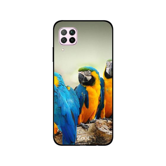 Zoot Three Cute Parrot Printed Back Cover for Huawei Nova 7i