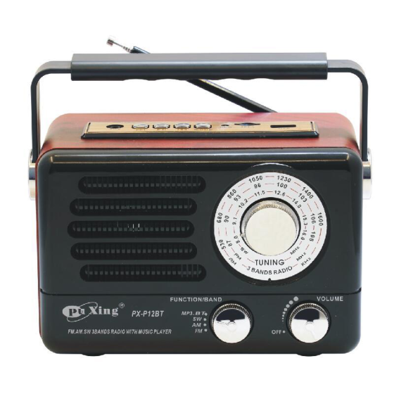 PU Xing Rechargeable Radio, Black - PX-P12BT