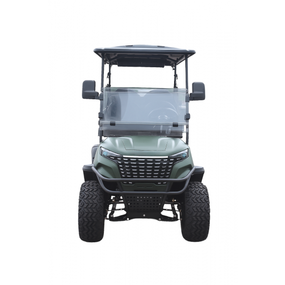 Vigorey H5 Golf Car, 4 Seats - Light Green