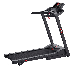 Entercise Treadmill, 115 Kg - Sprinter