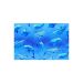 Swimming Dolphins Skin For Apple Ipad Mini 6th Gen