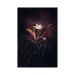 Delicate Bloom Skin For Apple Ipad Mini 6th Gen