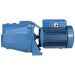 Kandoz Water Pump, 0.75 HP - Blue