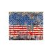Cobweb Flag Skin For Apple Ipad Mini 6th Gen