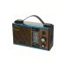 Wired FM Radio, 11 Bands, 200W, Multicolor - LT-2009
