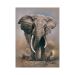 African Elephant Skin For Apple Ipad Mini 6th Gen