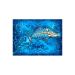 Barracuda Bones Skin For Apple Ipad Mini 6th Gen
