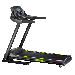 Entercise Electric Treadmill, 120 kg - Black