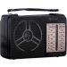 Golon Wireless Radio, 5 Bands, 110-220V, Black - RX-607AC