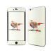Little Bird Skin for Iphone 6 Plus