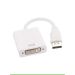 DVI Monitor Display Adapter- White