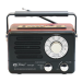 PU Xing Rechargeable Radio, Black - PX-P12BT