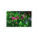 Cloverscape Skin For Apple Ipad Mini 6th Gen
