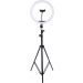 Ring Light with Tripod Stand for Smartphones, 210 Cm, Black - Sl300