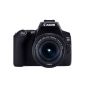 كاميرا DSLR كانون EOS 250D، دقة 24.1 ميجا بكسل، عدسة 18-55 ملم - اسود