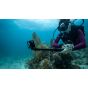 GoPro Hero 13 Action Camera, 27.6MP, 35mm - Black