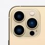 Apple iPhone 13 Pro Max, 256GB, 5G- Gold
