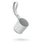 Sony Wireless Speaker, Grey - SRS-XB100-H