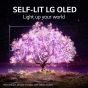 LG 65 Inch 4K UHD Smart OLED TV with Built-in Receiver - OLED65A1PVA