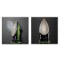 Sokany Cordless Steam Iron, 370ml, 2400W, Green - AJ2085