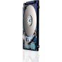 HGST Internal Hard Disk Drive HDD,250GB, 5400 RPM, Black - 0A78602