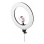 LED Ring Light with Phone Holder, Black and White - D7921UK-1-C