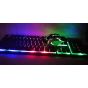 GAMMA X-100 Luminous Keyboard with Gaming Mouse