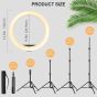 Ring Light with Tripod Stand, 12 Inch - Black