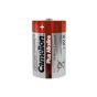 Camelion Plus Alkaline D Battery, 2 Pieces - LR20