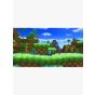 Sonic forces for Nintendo Switch